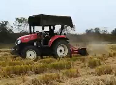 耕地种植有机油菜