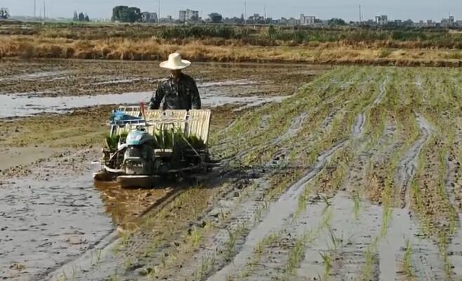 农天插秧机插秧