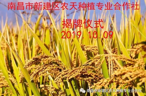 南昌市新建区农天种植专业合作社在竹洲村揭牌